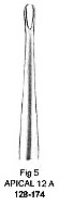 Apical-12A Root Elevator